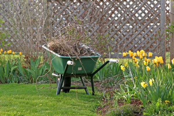 Flower Bed Cleanup Service in Sanford
