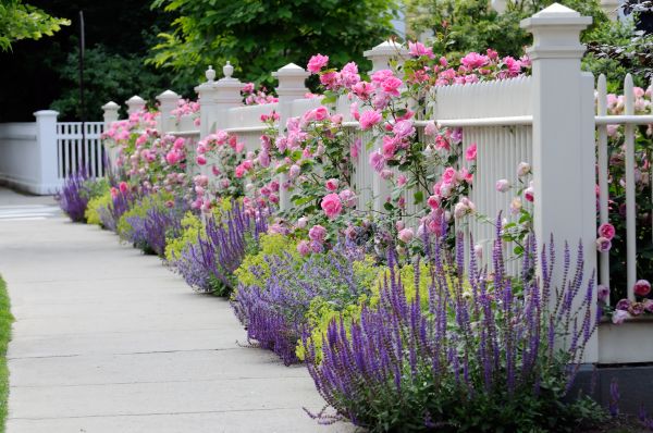 Garden Handyman Service in Sanford