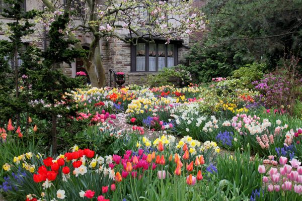 Garden Maintenance Service in Sanford