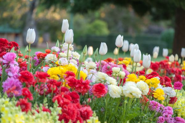 Gardening Service in Sanford