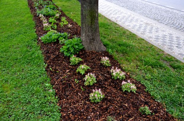 Mulch Replacement Service in Sanford