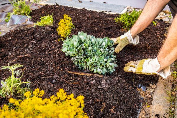 Weeding And Mulching in Sanford