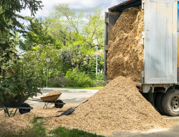 Wood Chips Delivery in Sanford
