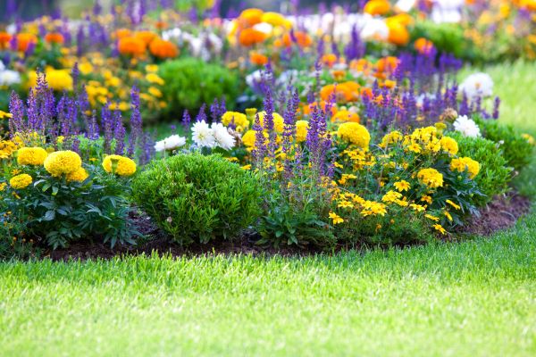 Garden Installation in Sanford