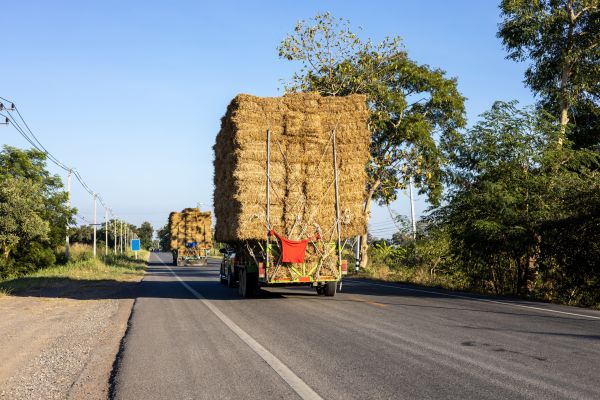 Pine Straw Delivery in Sanford