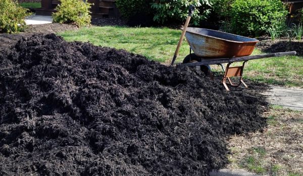 Black Mulch Delivery in Sanford
