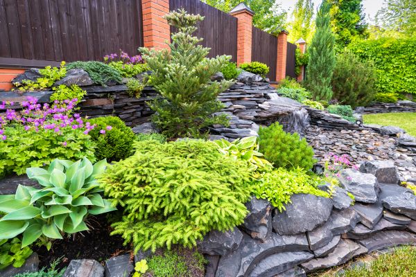 Landscape Remodeling in Sanford