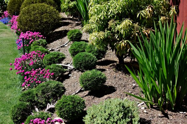 Residential Gardening in Sanford