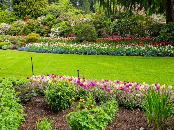 Residential Landscape Design in Sanford