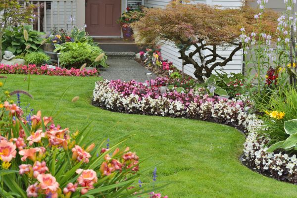 Perennial Landscaping in Sanford