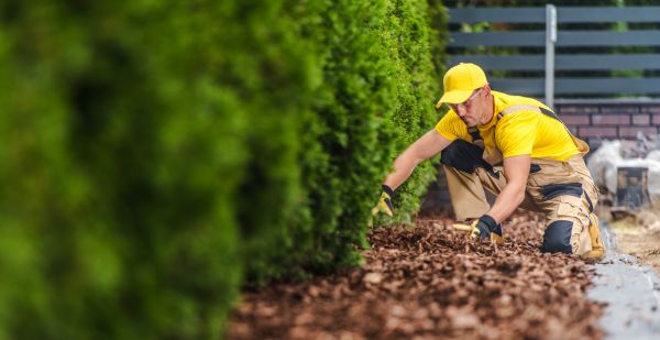 Cypress Mulch Installation in Sanford