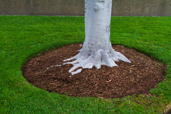Brown Mulch Installation in Sanford