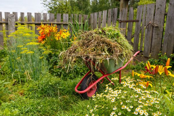 Garden Cleanup Service in Sanford