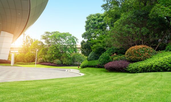 Business Landscape Design in Sanford