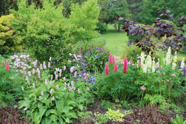 Flower Bed Planting in Sanford