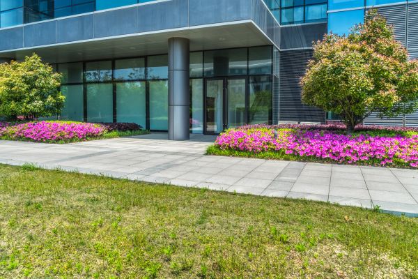 Commercial Gardening in Sanford