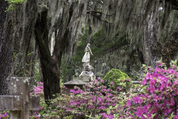 Cemetery Landscaping in Sanford