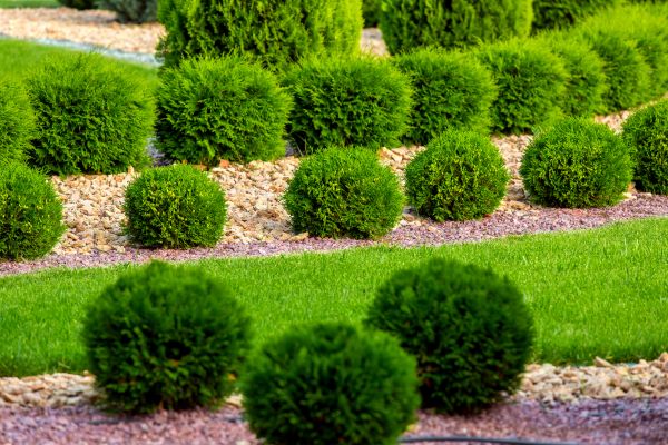 Bush Installation in Sanford