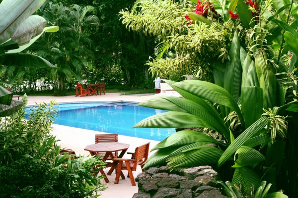 Pool Area Landscaping in Sanford