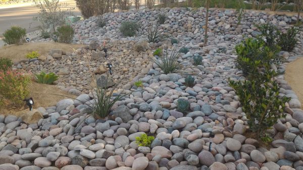 Yard Xeriscaping in Sanford
