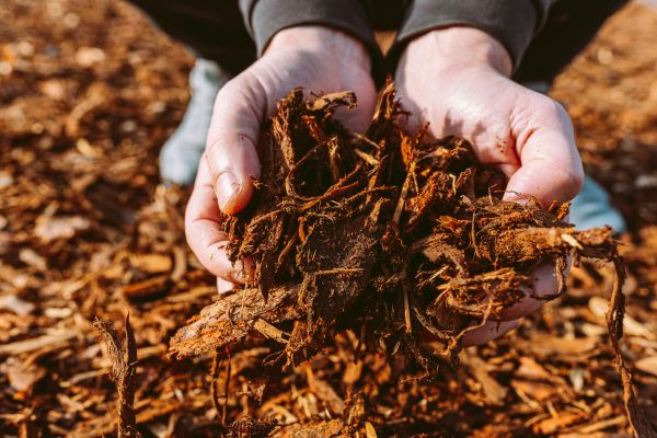 Bark Chips Delivery in Sanford