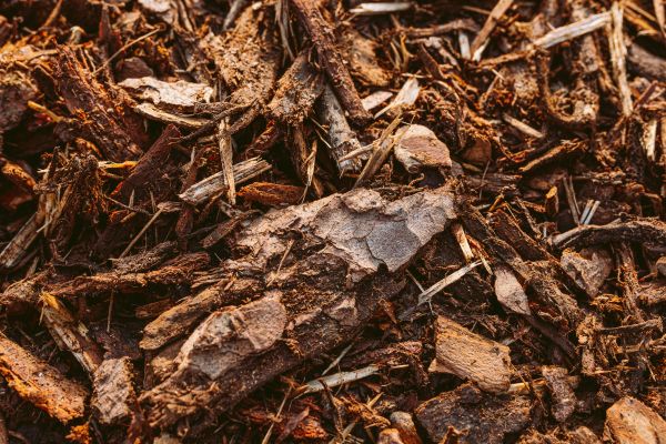 Bark Mulch Delivery in Sanford