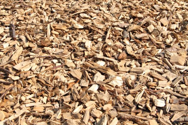 Wood Mulch Delivery in Sanford