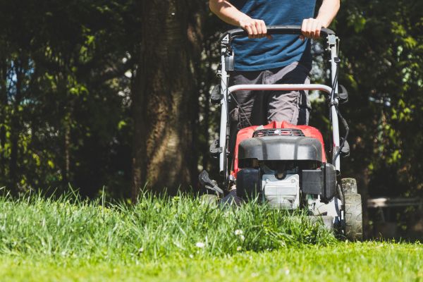 Garden Trimming Service in Sanford
