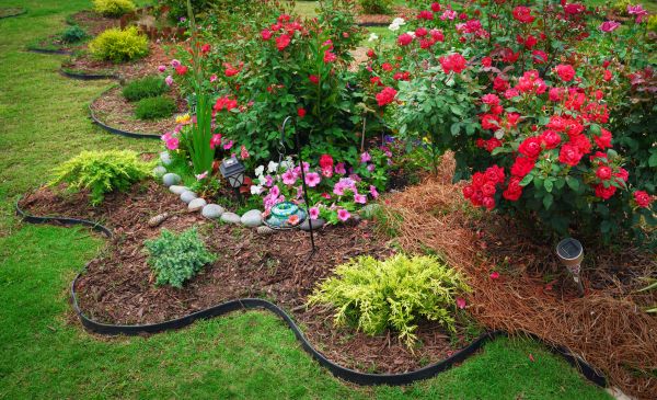 Floral Landscaping in Sanford