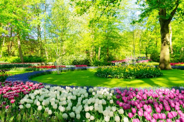 Flower Landscaping in Sanford
