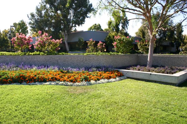 Commercial Landscape Service in Sanford