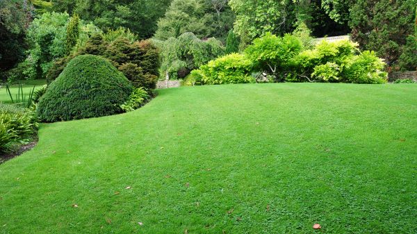 Commercial Landscape Design in Sanford