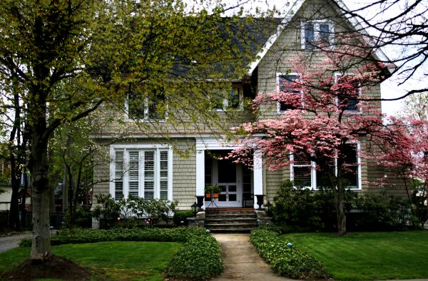 Ornamental Tree Planting in Sanford