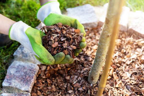 Tree Bark Delivery in Sanford