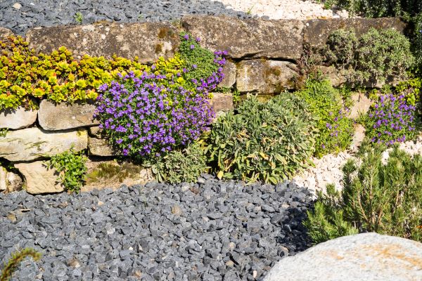 Landscaping Rocks Installation in Sanford