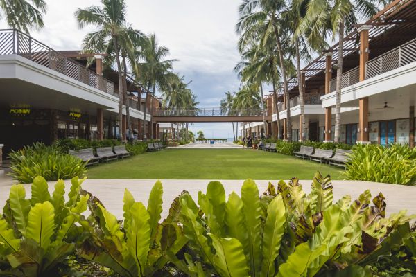 Commercial Lawn Renovation in Sanford