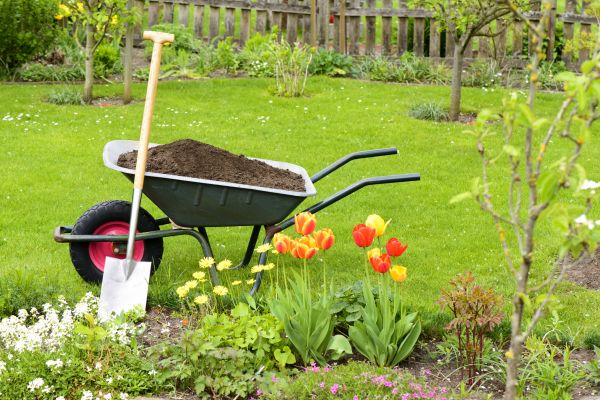 Spring Yard Renovation in Sanford