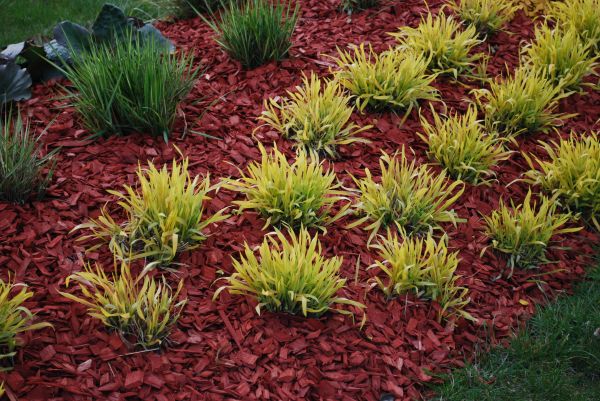 Red Mulch Installation in Sanford