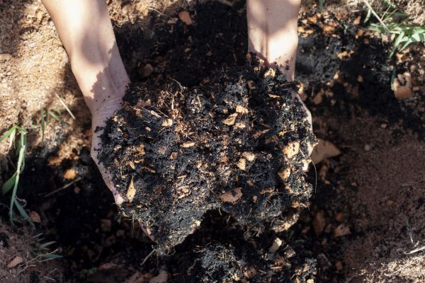 Organic Mulch Installation in Sanford