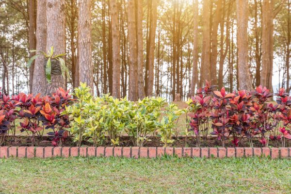 Small Garden Landscaping in Sanford