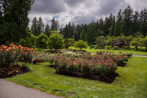 Flower Garden Landscaping in Sanford