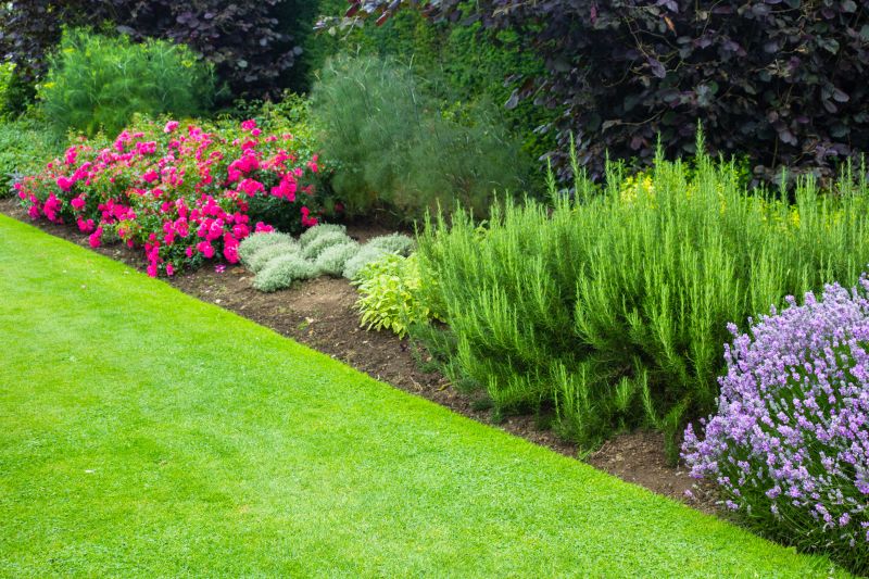 Lush Garden Designs