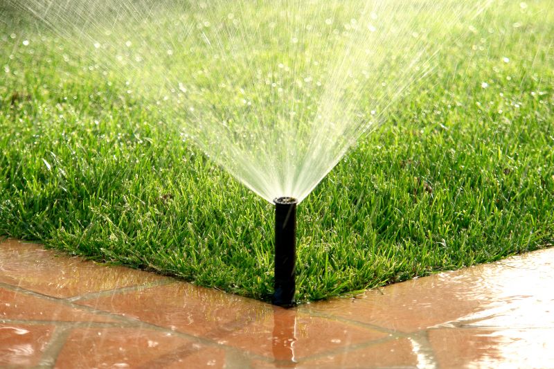Wide Sprinkler System in Winter